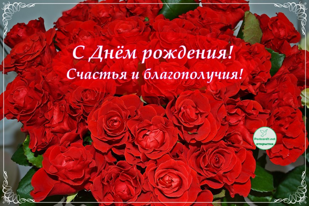 С днем рождения