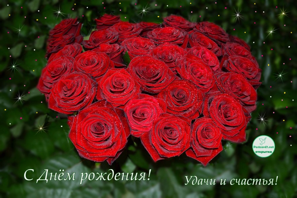 Розы красивые букеты шикарные