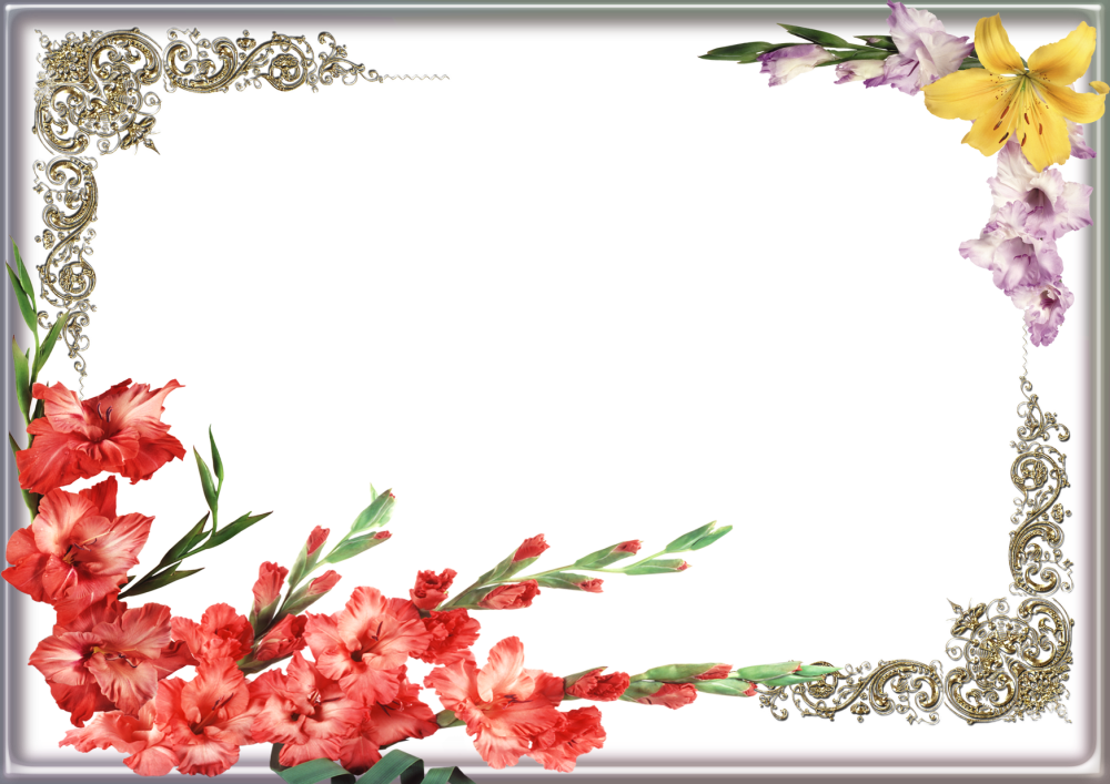Фон для открытки