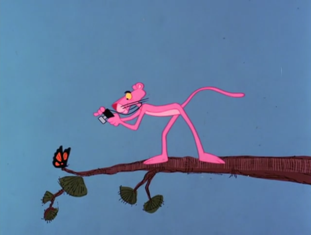 Pink Panther multik