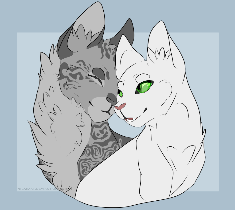 Коты воители луны