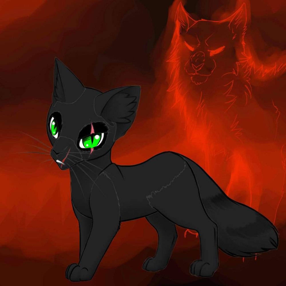 Warriors Cats Art by songsteps