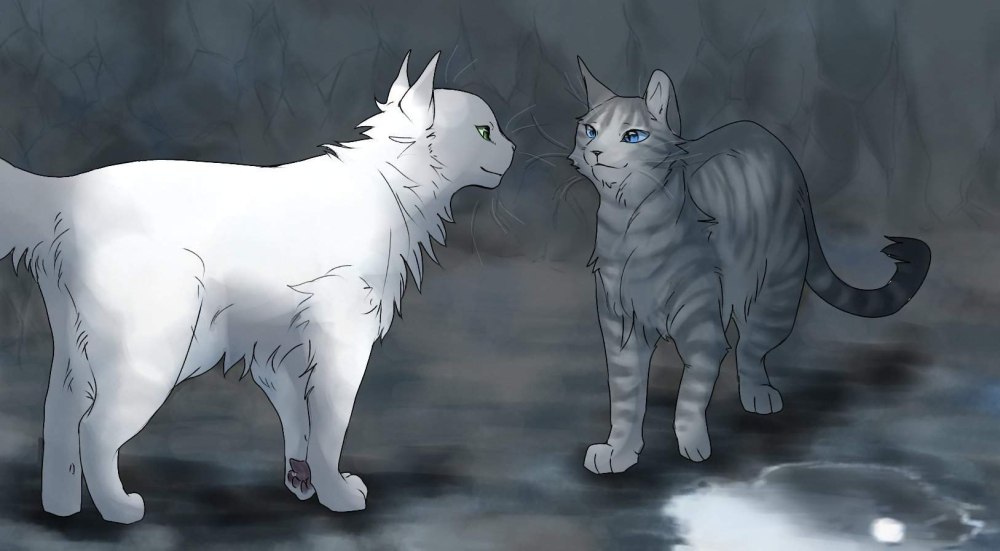 Луна из коты Воители