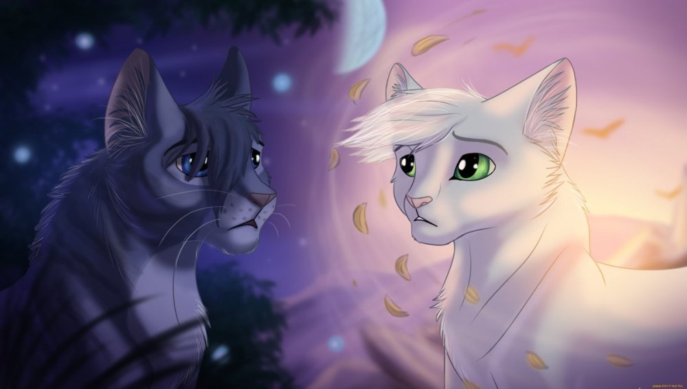 Коты Воители half Moon