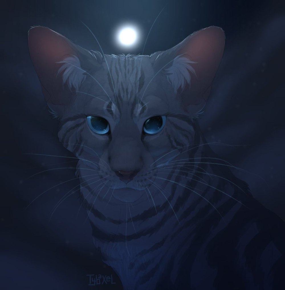 Мейкеры коты Воители