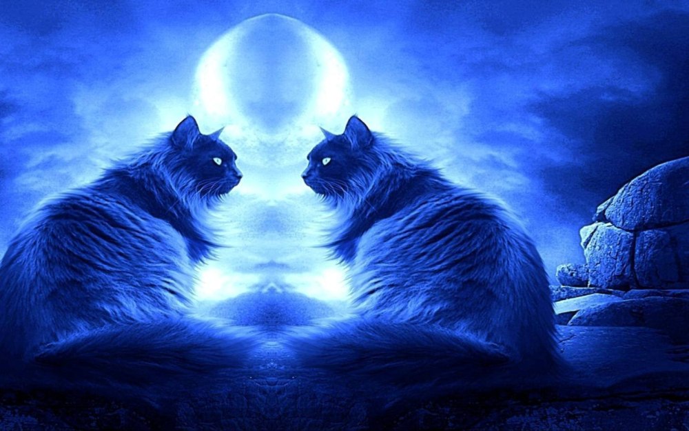 Коты Воители кошка Луна