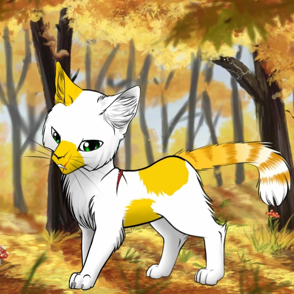 Лунница коты Воители Вики