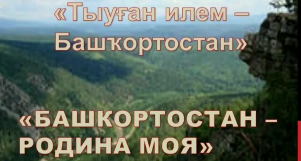 Сообщение о растениях леса Республики Башкортостан 2а класс