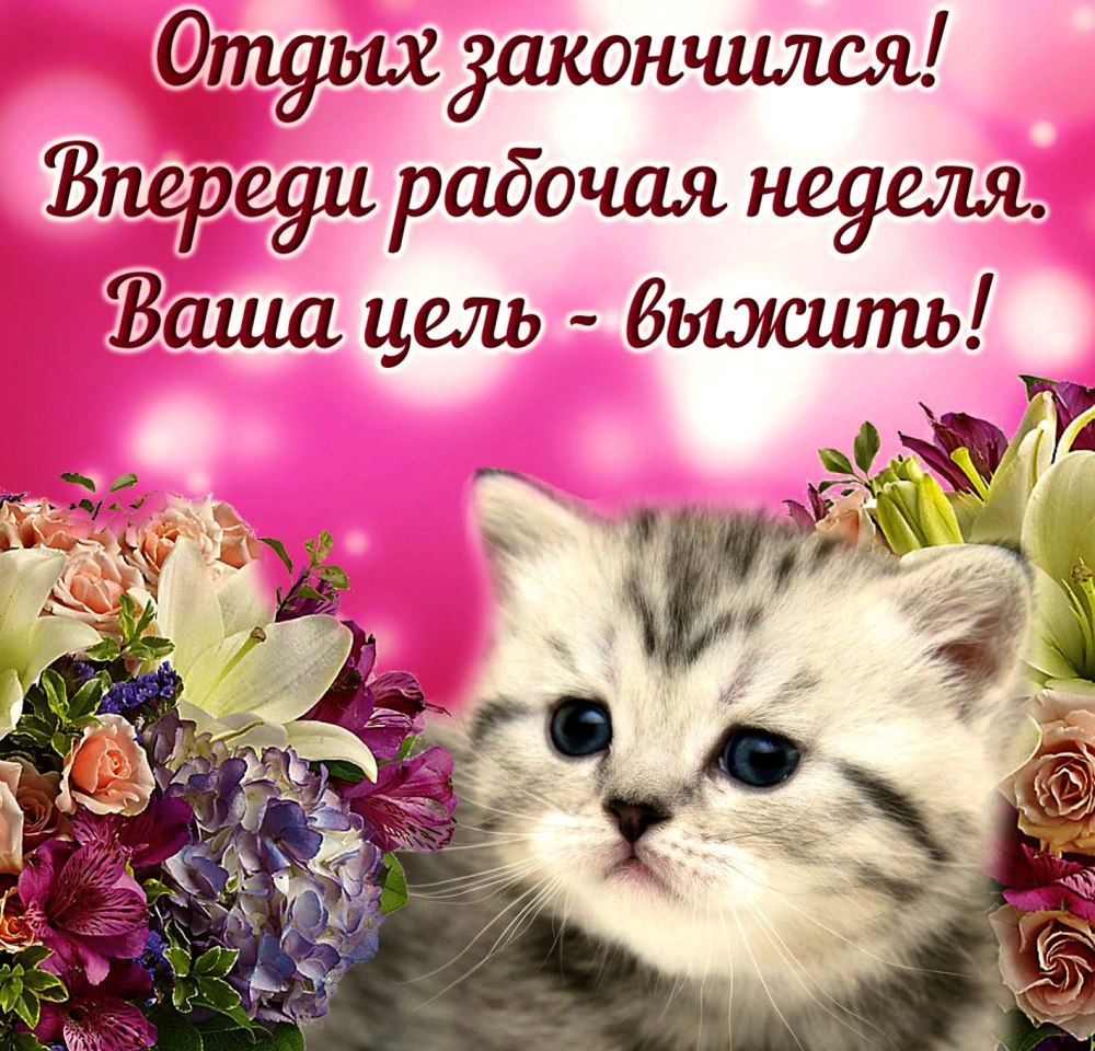 Доброе утро удачной недели