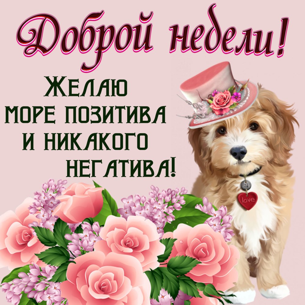 Открытки с пожеланием хорошей недели