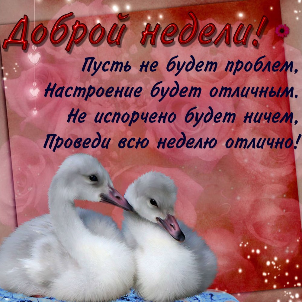 Пожелания на понедельник