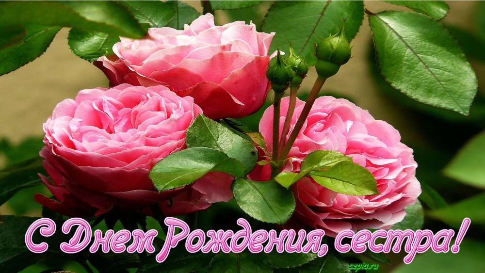 Картинки с днём рождения сестре