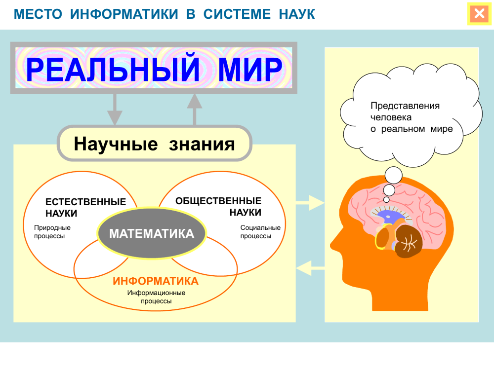 Тактика ведения пациента с бронхиальной астмой