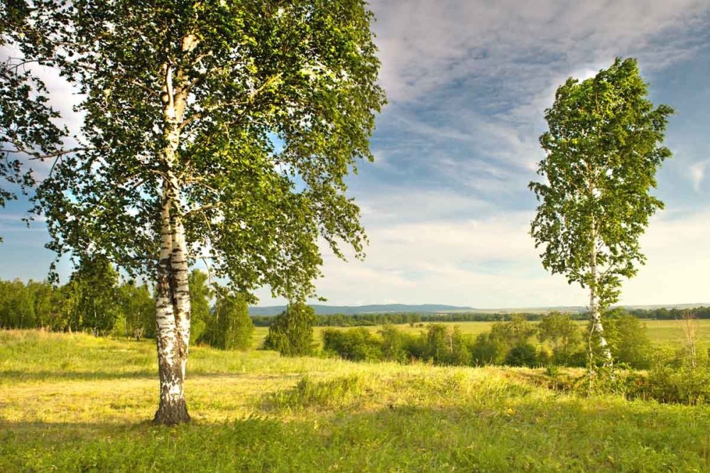 Флаг России Кремль