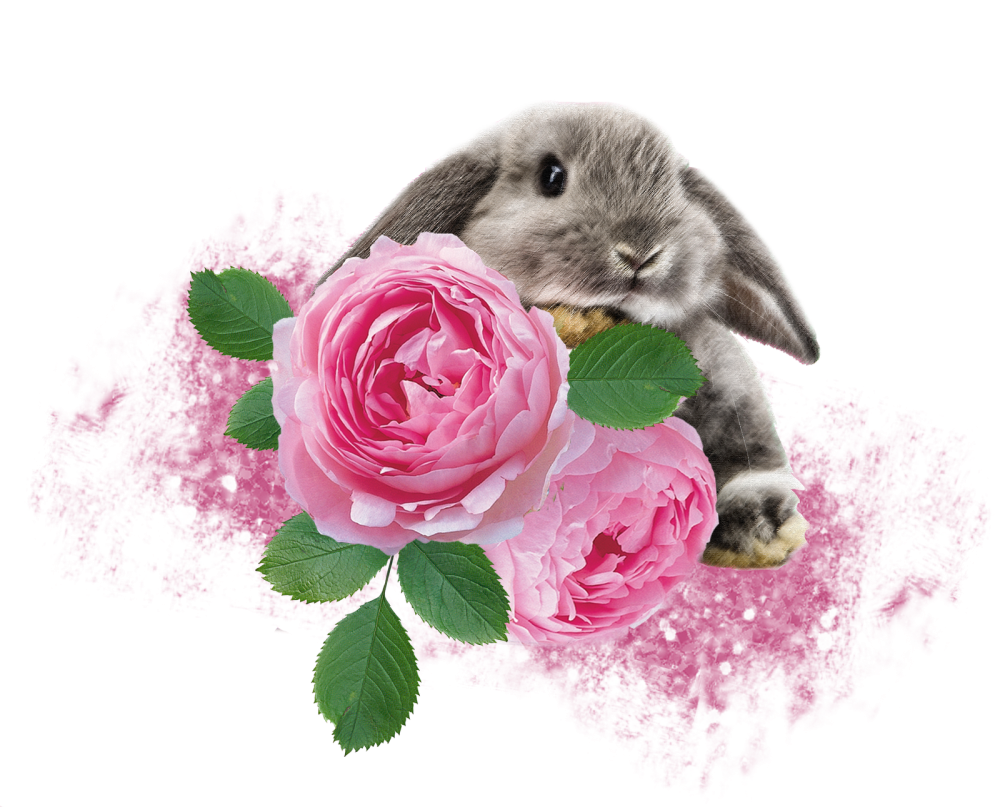Зверюшки с цветами
