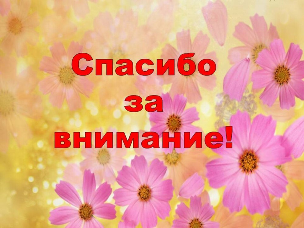 Кот в галстуке