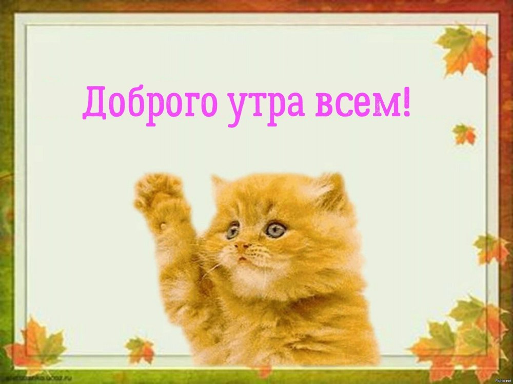 Слайд спасибо за внимание
