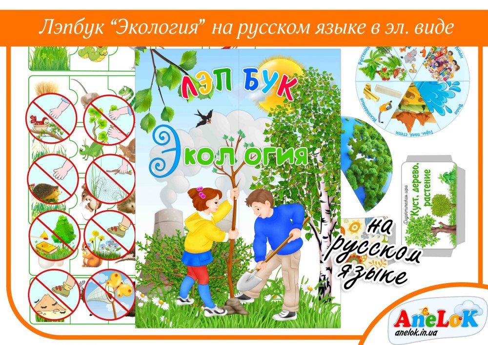 Название лэпбука по экологии