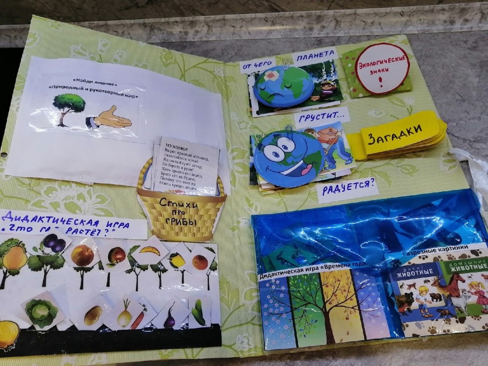 Лэпбук экология для дошкольников