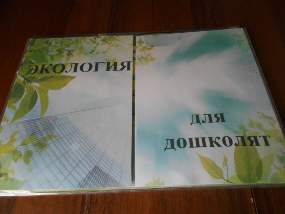 Лэпбук природные явления