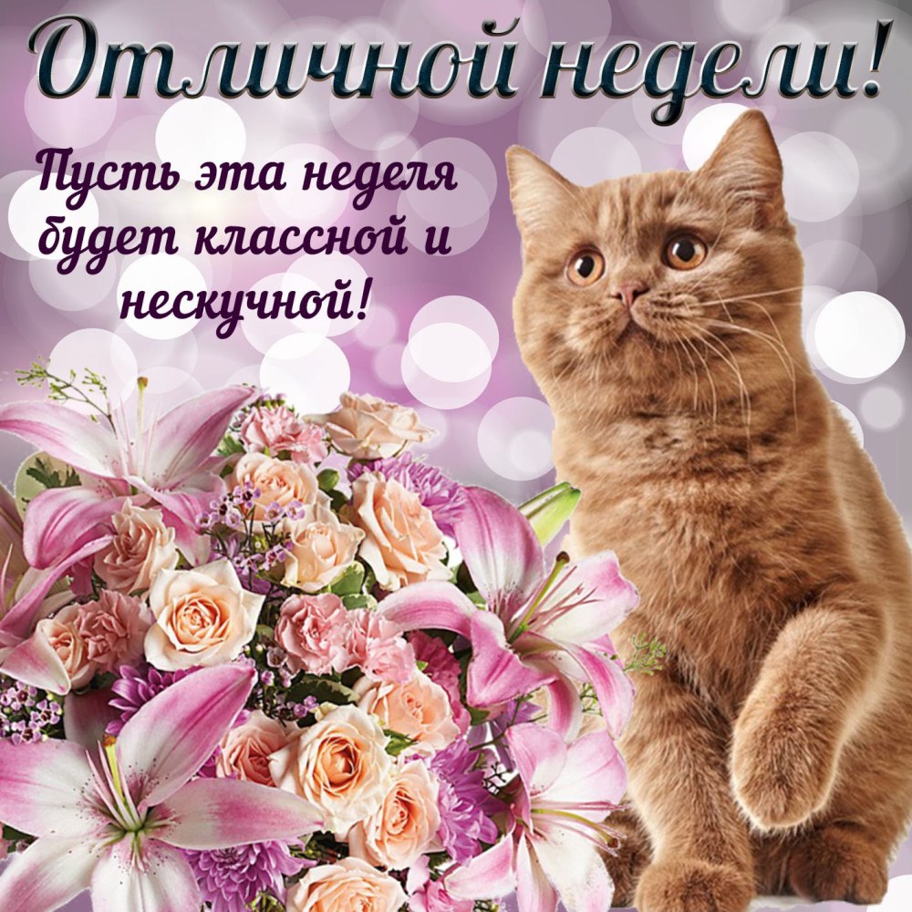 Красивые пожелания в понедельник