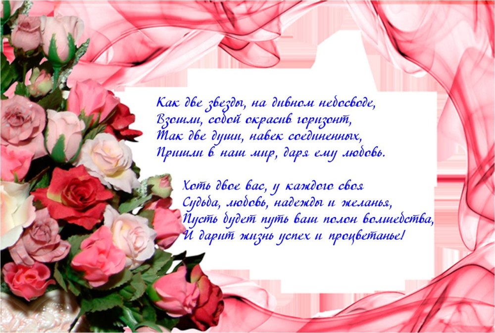 Мама с двойняшками