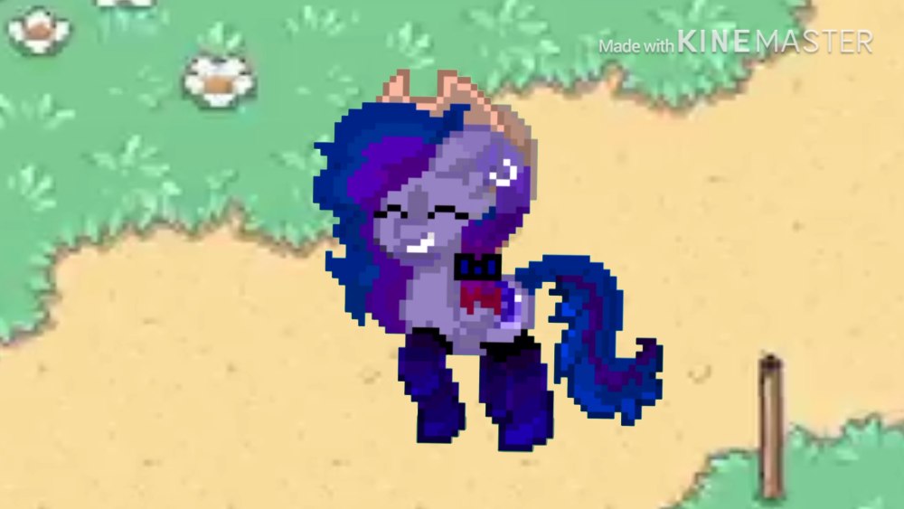 ОС В Pony Town