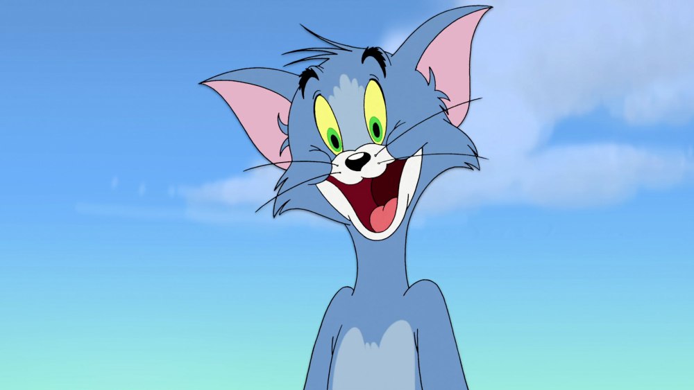 Tom из том и Джерри