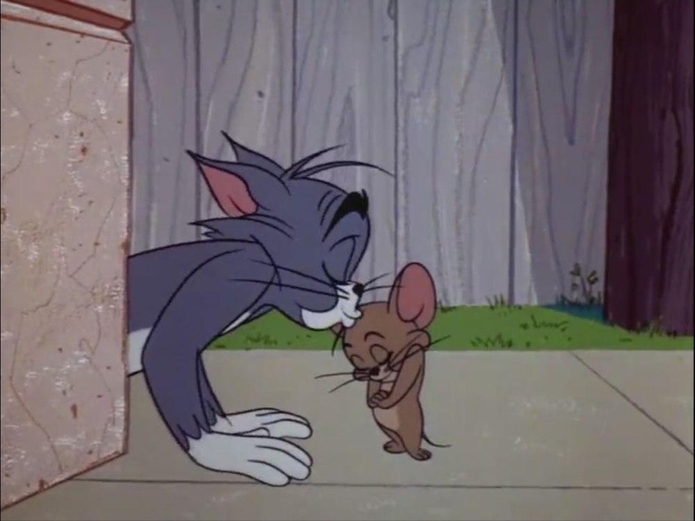 Том и Джерри 1963-1967 том