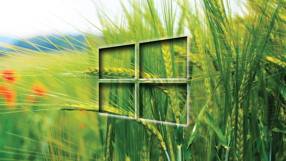 Обои Windows