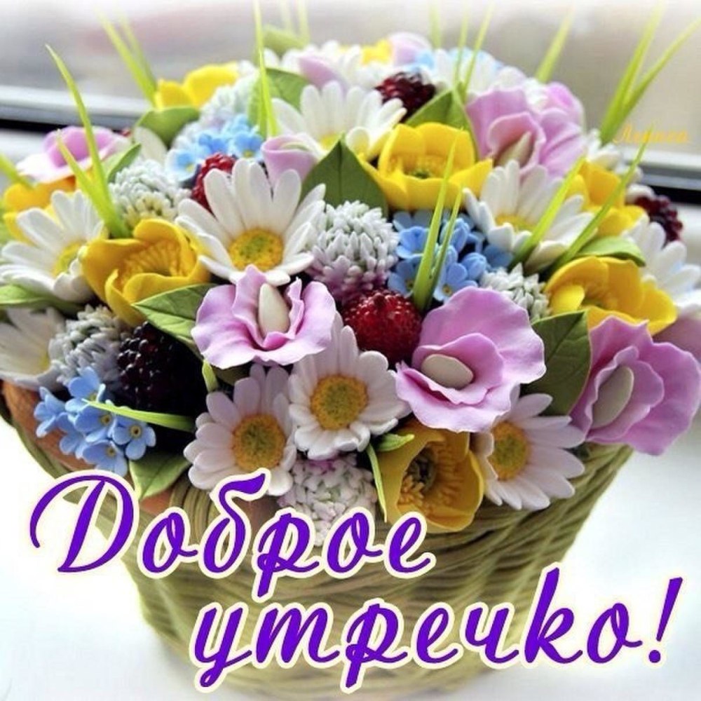 Утренние пионы