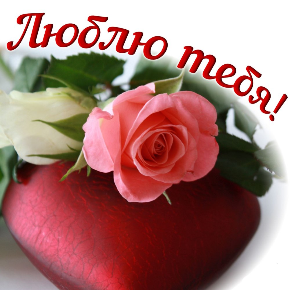 Цветы для любимой женщины