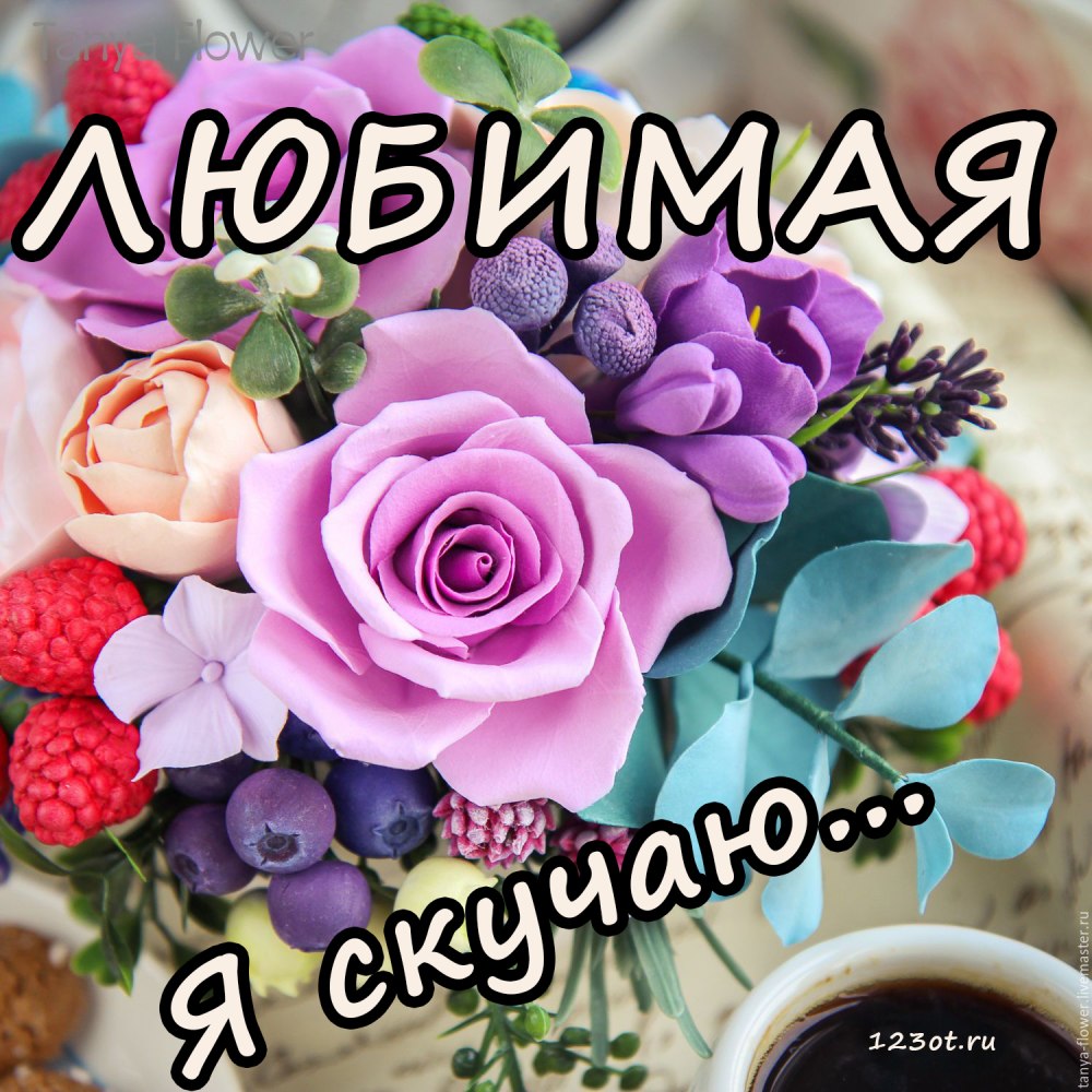 Самые красивые цветы для любимой