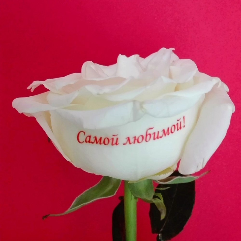 Романтичные цветы