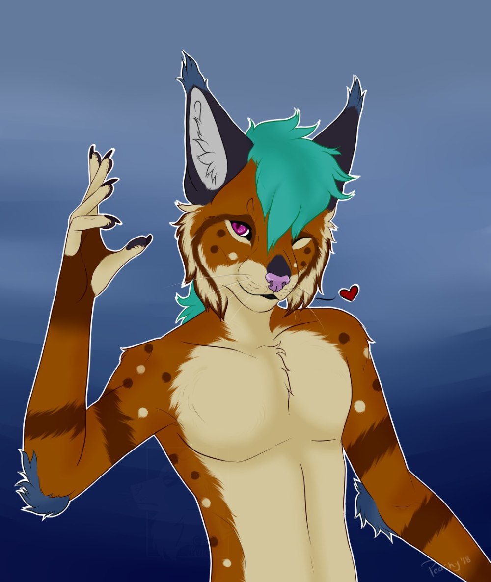 Furry в шлеме