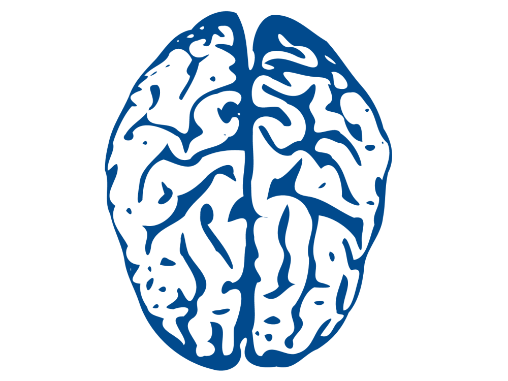Ожирение мозга svg