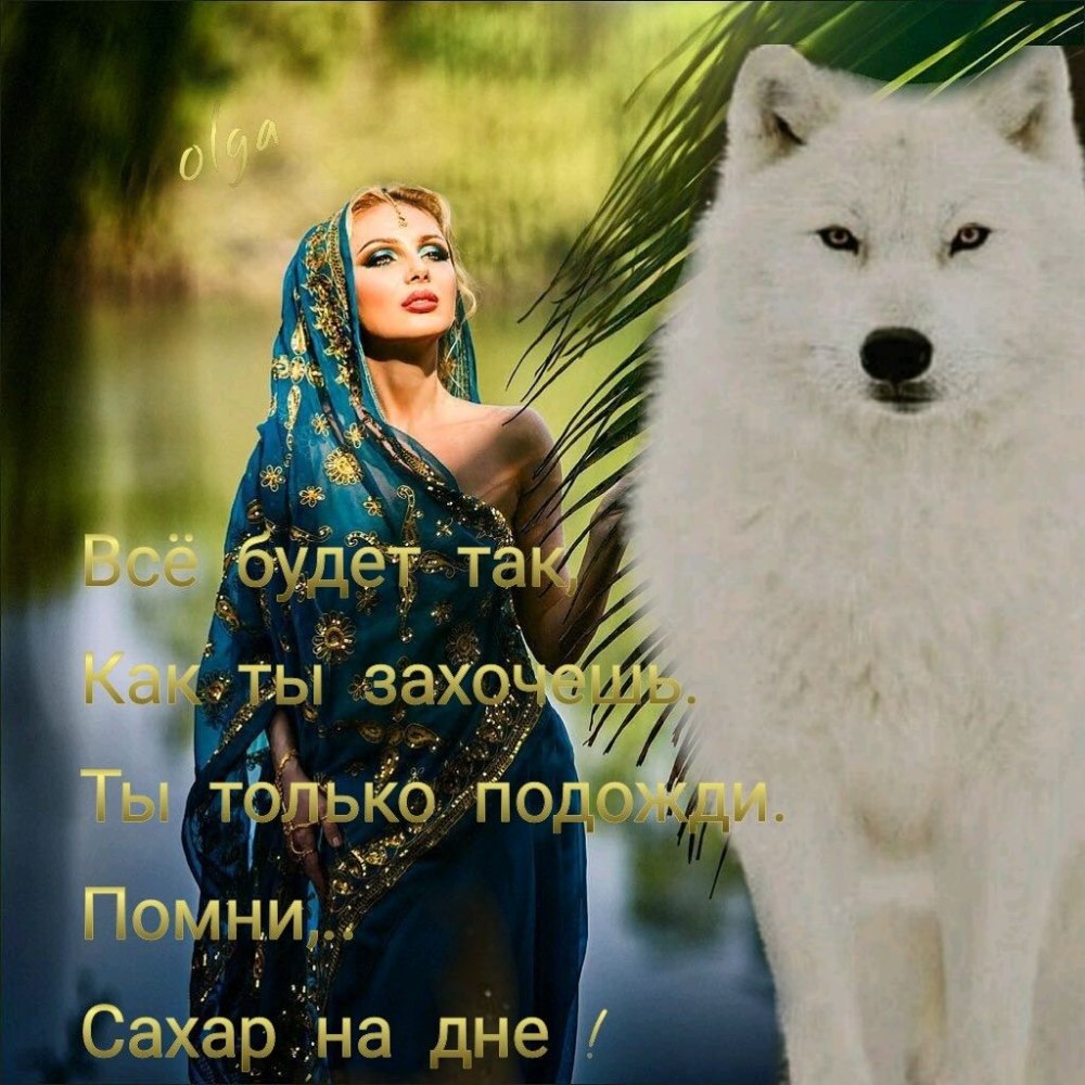 Волки девушка с надписями