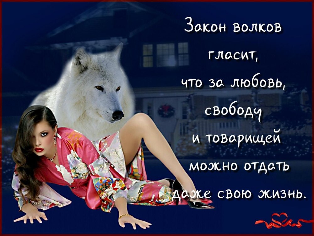 Статусы с волками мемы