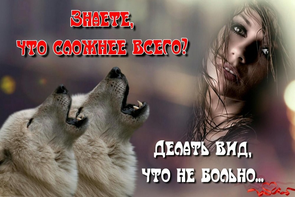 Волк с одной волчицей навсегда