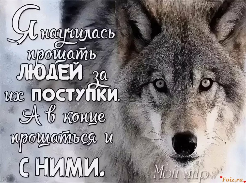 Девочка волк Лобо