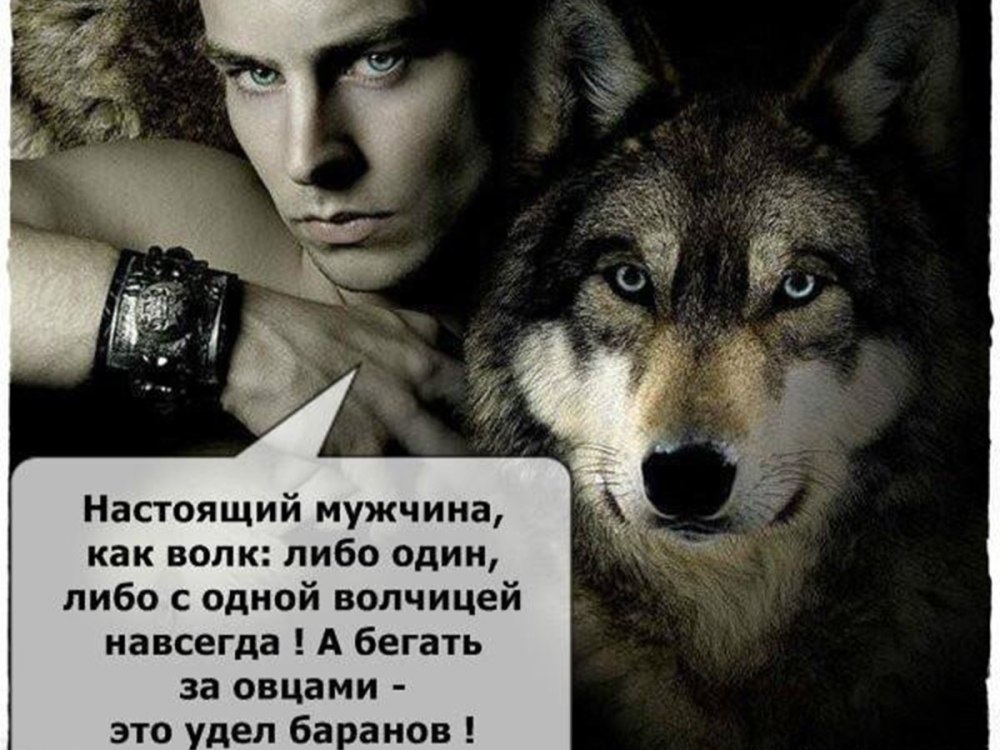 Брюнетка и волк