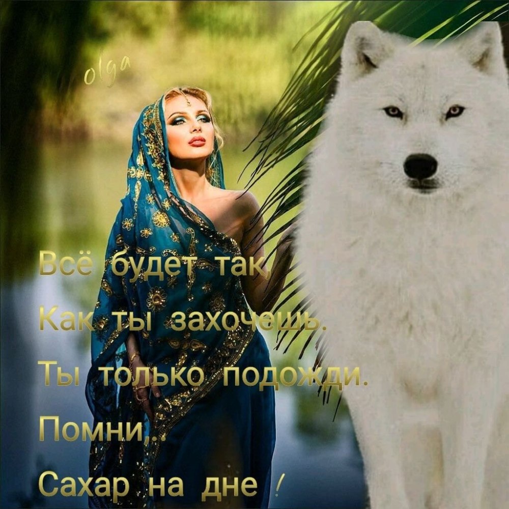 Влюбленный волк не хищник