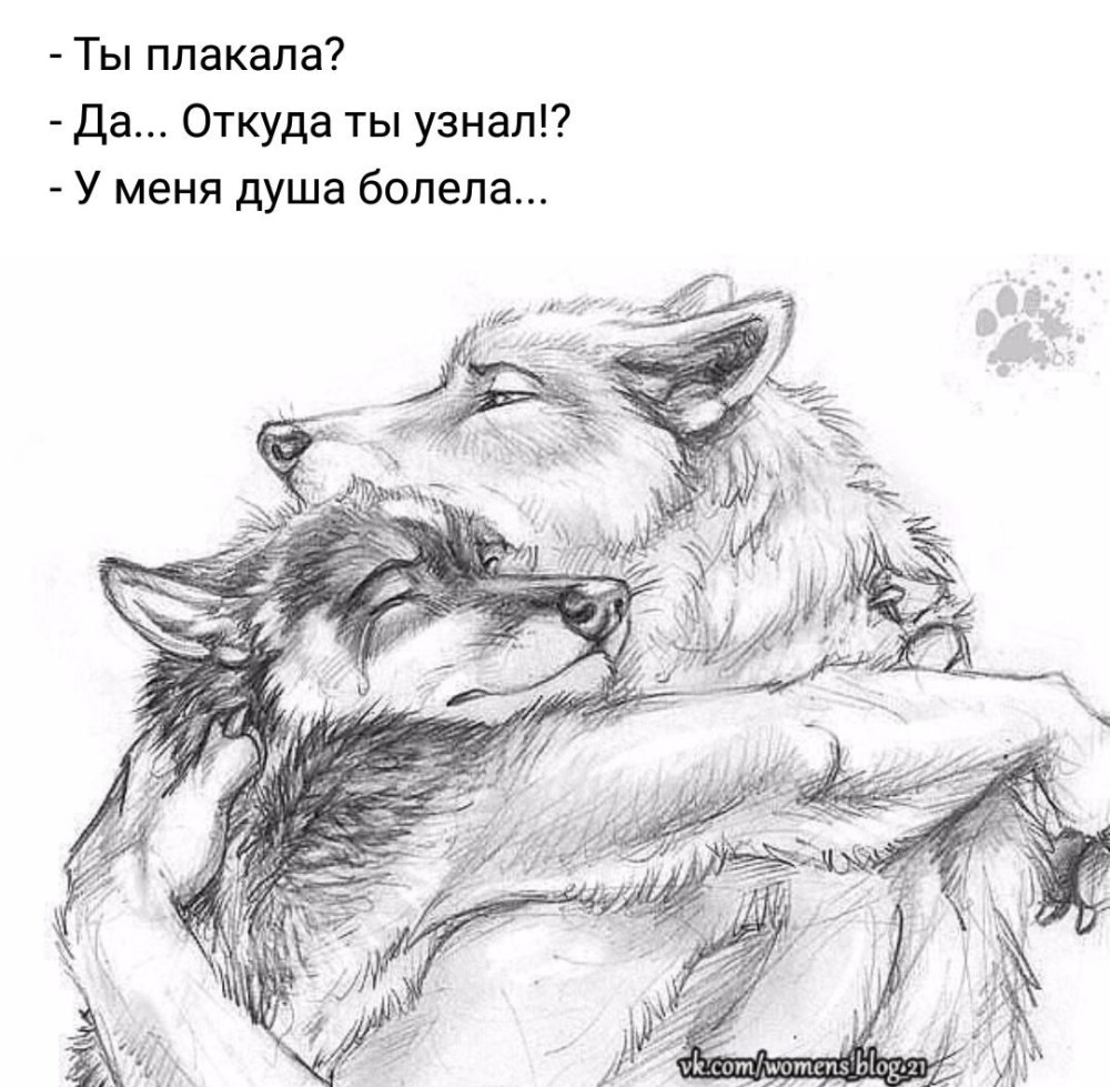 Девушка и волк Эстетика