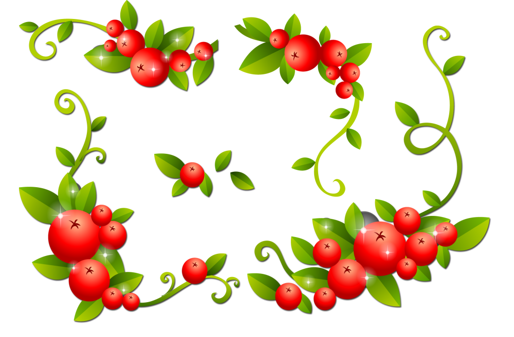 Рамочки с малиной