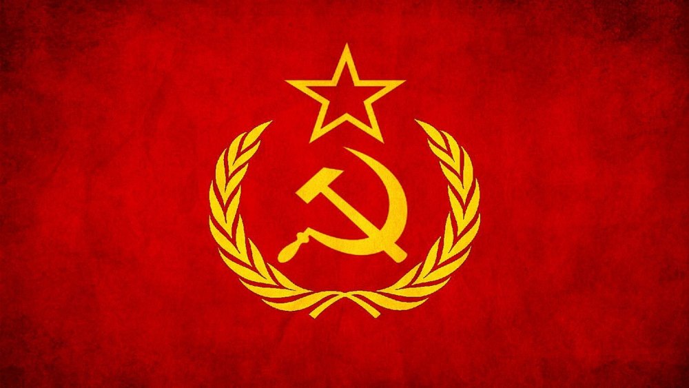 Собака в шапке ушанке