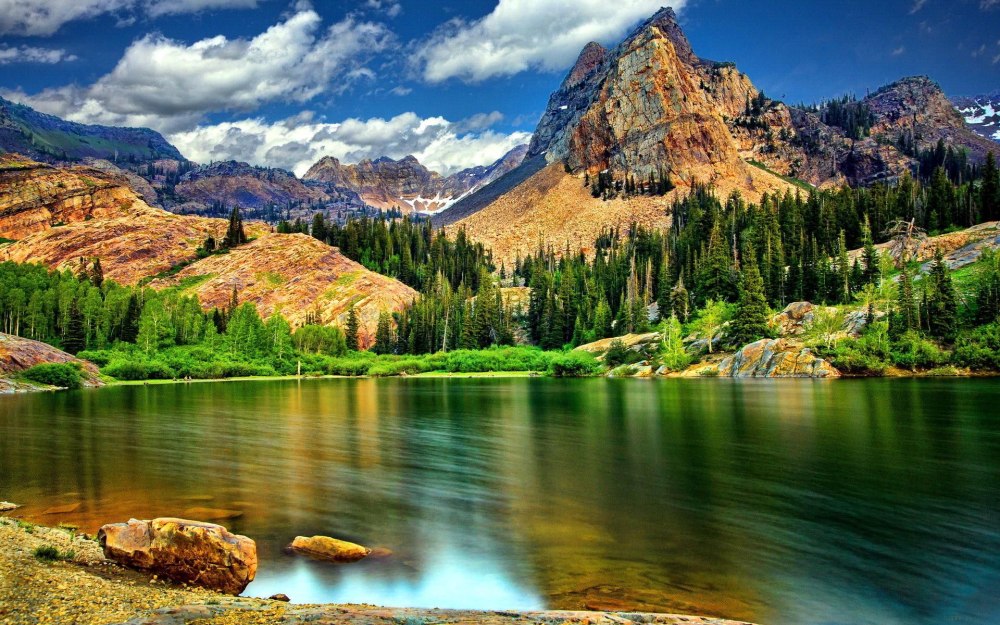 LG OLED TV Wallpaper
