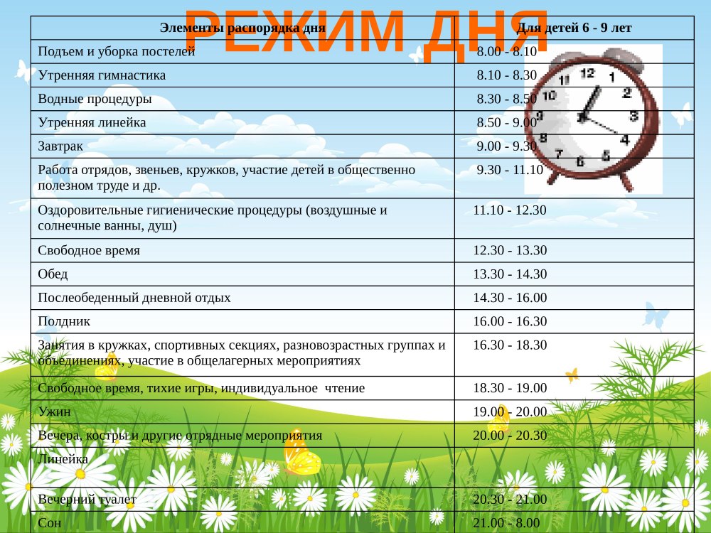 Распорядок дня