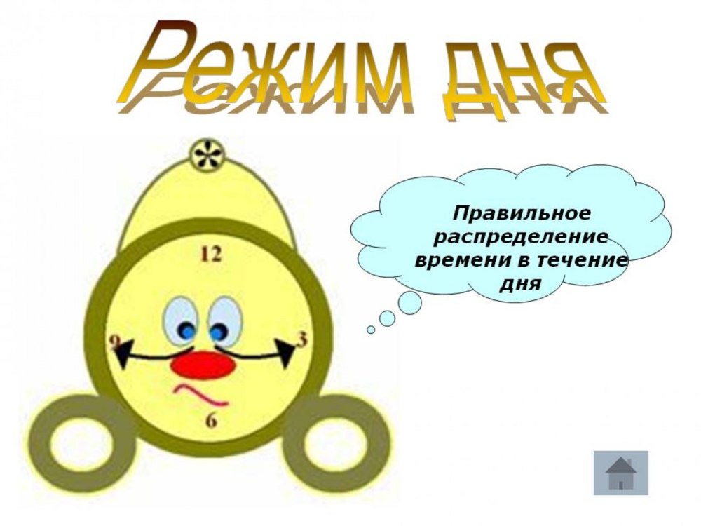 Распорядок дня ребенка