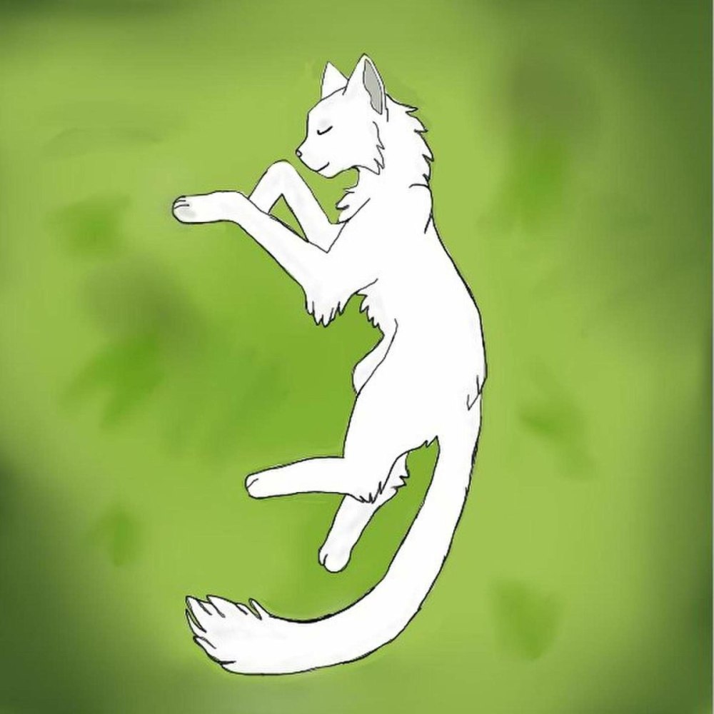 Коты Воители раскраска