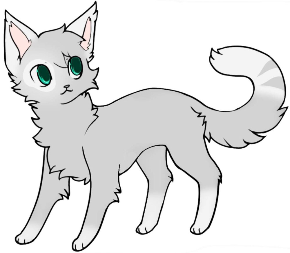Коты Воители раскраска кот
